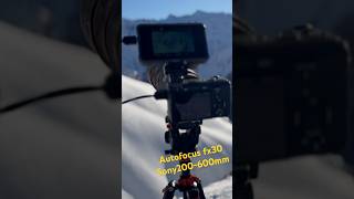 Caméra test autofocus Sony FX30-200-600mm - Wild Life
