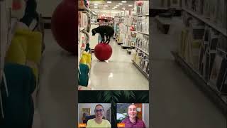 Dog Balances &amp; Walks On Ball In Target