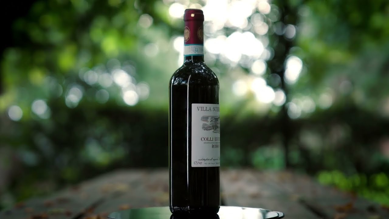 Corporate video — Villa Sceriman