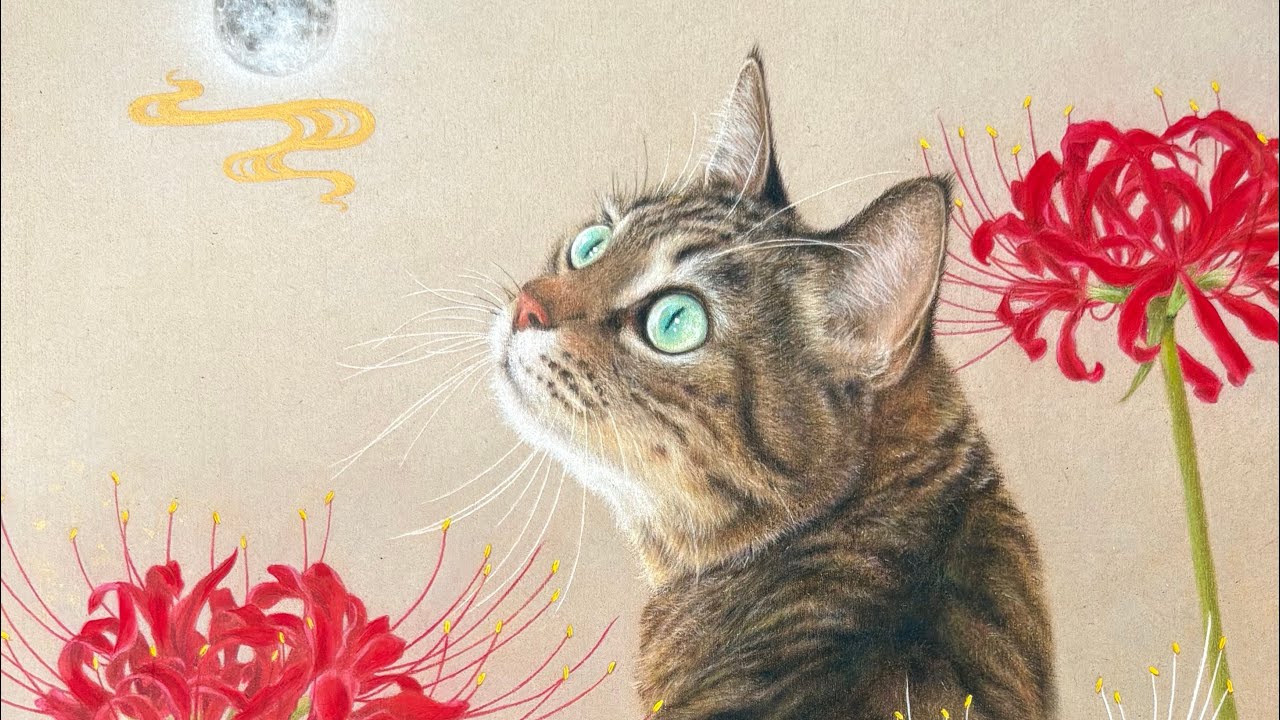 色鉛筆画【キジトラ猫と曼珠沙華】のメイキング動画🌝 - YouTube