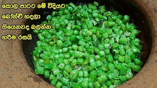 කොළ පාටට වෙනස්ම රසකට බෝන්චි හදමු | Beans recipe sinhala | Bonchi curry | Bonchi recipe | bonchi hodi