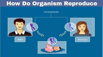 CBSE Class 10 Science - 8 || How Organisms Reproduce ||  Full Chapter || by Shiksha House