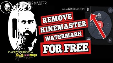 How to remove Kinemaster watermark FREE |Best mobile video editor in 2020(Alternative Way)