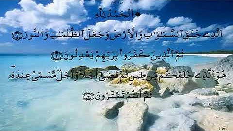 سورة الأنعام//لفضيلة الشيخ محمد أبو سنينة