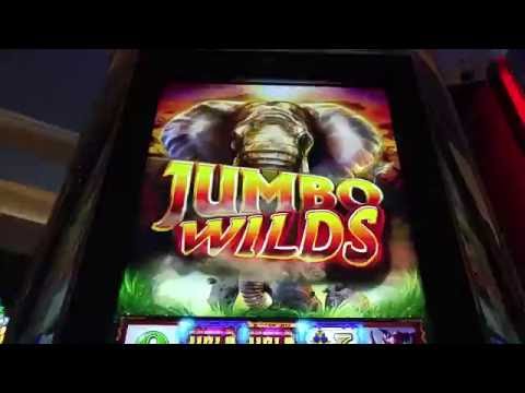 OMG YOU GOT TO SEE THESE MASSIVE WINS ON MIGHTY CASH SLOTS 5 CENT DENOM 2X