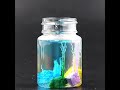 Water Garden Kit  #sciencekits  #schoolactivities #afterschoolactivities