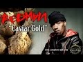 Redman feat dr zodiak kurupt and bingx caviar gold official music