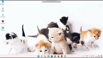 How to change the roblox cursor