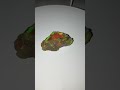 "Ópalo del Multiverso: Un Portal en tu Mano" #opalwanted #crystals #gemquality #opal #natural