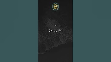 ❤️ فَقَالُوا إِنَّا سَمِعْنَا قُرْآنًا عَجَبًا ## تلاوة خاشعة جميلة بصوت ماهر المعيقلي #ماهر المعيقل