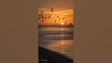 أذكار الصباح_ذكر بها نفسك وغيرك واجعلها فى ميزان حسناتك