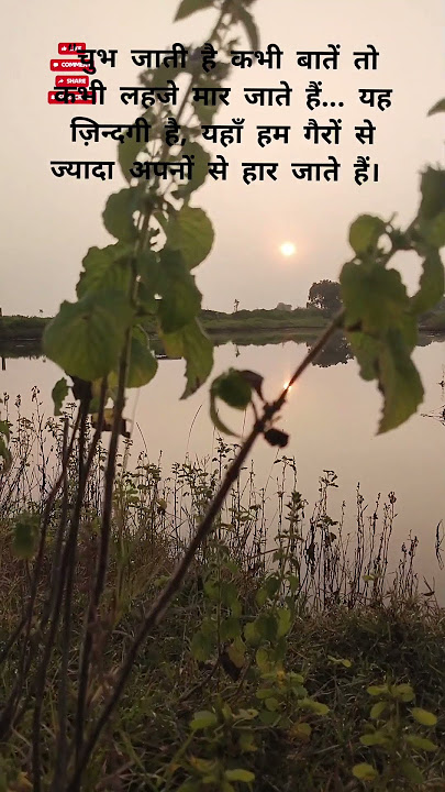 The morning light doesn't just bring sunshine....