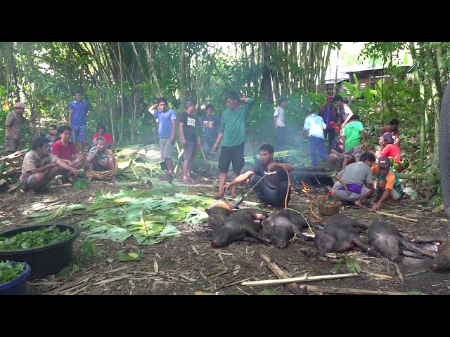 Persiapan masakan untuk PERNIKAHAN SABINUS DAN MELIANA di Toraja class=