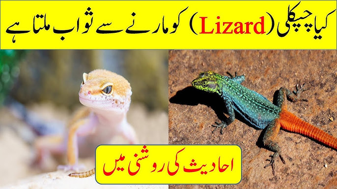 Yangi yuqori sifatli porno rasmlar