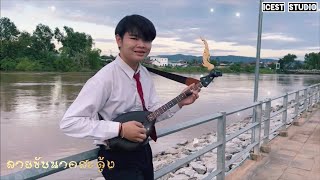 ลายขับนาคสะดุ้ง - ดนตรีพื้นบ้านอีสาน [Lyrics video ]