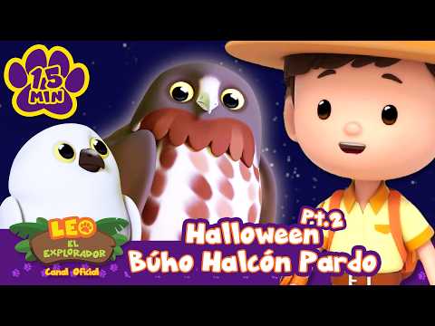 ¡Descubre al espeluznante búho gavilán pardo! Halloween: Parte 2 | Leo, El Explorador | Animación