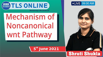 Mechanism of Noncanonical wnt Pathway