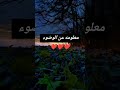 معلومه عن الوضوء سبحانك اللهم وبحمدك أشهد أن لا إله إلا أنت أستغفرك واتوب اليك خير الكلام ذكر الله معلومه عن الوضوء سبحانك اللهم وبحمدك أشهد أن لا إله إلا أنت أستغفرك واتوب اليك خير الكلام ذكر الله