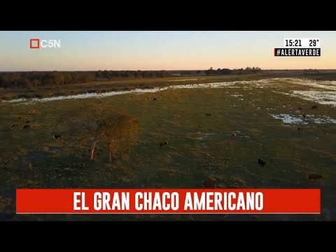Alerta verde: El gran Chaco Americano (parte 1)