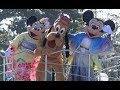 ooo [ 初日 初回 ] 2018年 東京ディズニーランド ニューイヤーズ・グリーティング Tokyo Disneyland New Year Greeting
