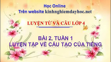 Luyện từ và câu lớp 4, tuần 1 bài 2: Luyện tập về Cấu tạo của tiếng