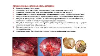 УЗИ. Доктор Иогансен. Выпуск 63. Неопухолевые очаговые изменения селезенки. Часть 1.