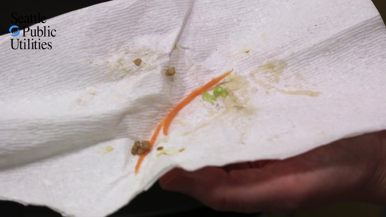 Napkins Where Does It Go? YouTube