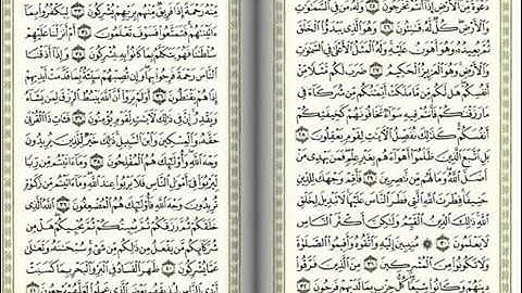 سورة الروم بصوت الشيخ سلمان العتيبي