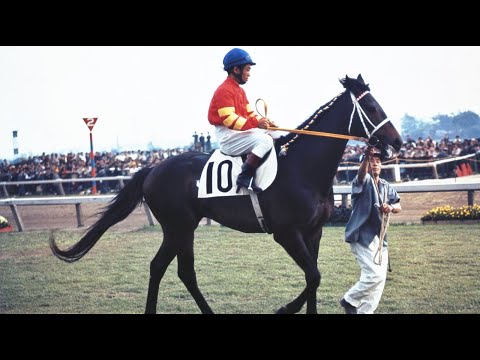 第34回 東京優駿（日本ダービー） アサデンコウ 牡3 57 増沢