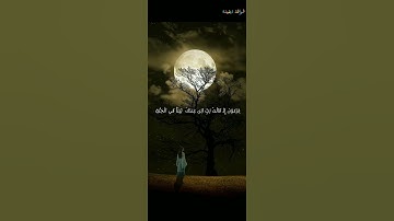 القارئ شريف مصطفى حالاة وتس اب اقوى صوت قران كريم في العالم وضرب الله مثل للذين امنو امرأت فرعون