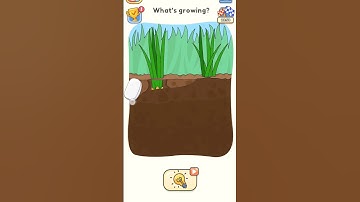 DOP 5: Delete One Part - Level 219 Gameplay! What