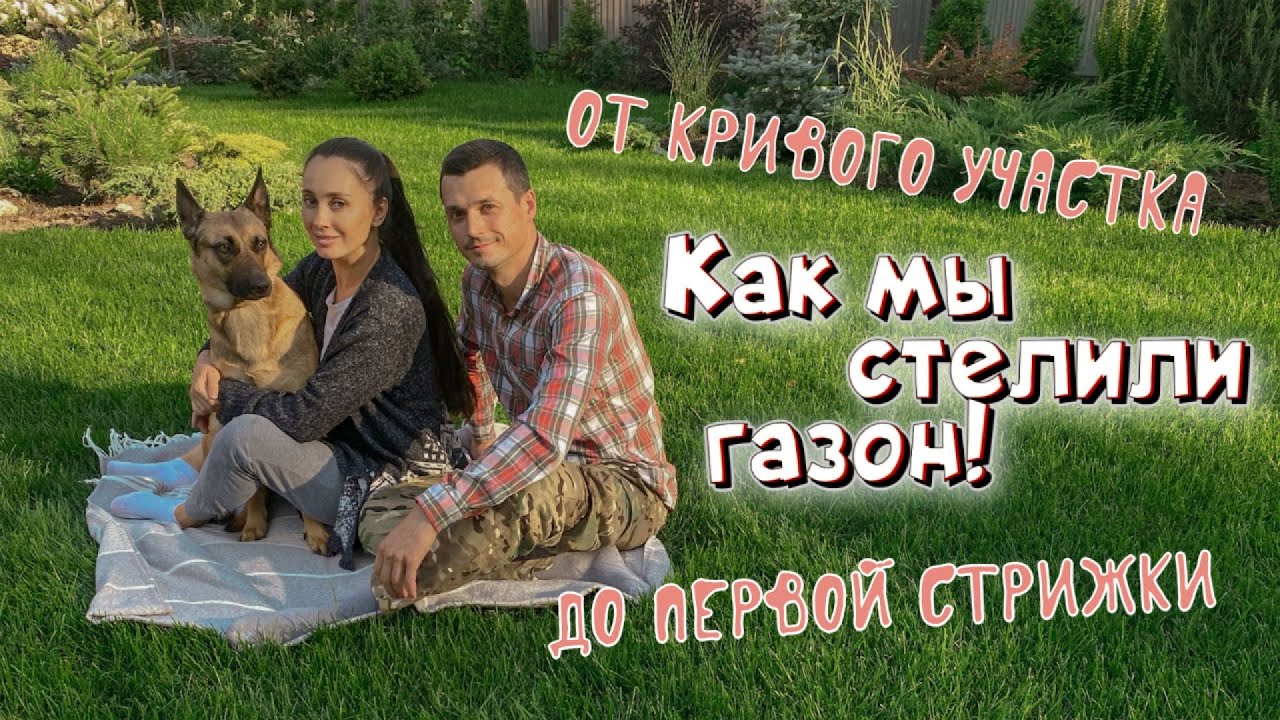 ПЕРЕЕХАЛИ ИЗ МОСКВЫ В ДОМ У ЛЕСА #19 Рулонный газон стелили сами || От сорняка до первой стрижки