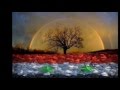 قصي حاتم العراقي راجعين 
