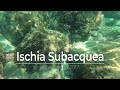 Ischia Subacquea