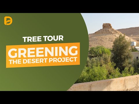 Greening the Desert: Tree Tour