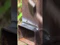 This pipe welding technique is insane 😮 #shorts #stickwelding #skills