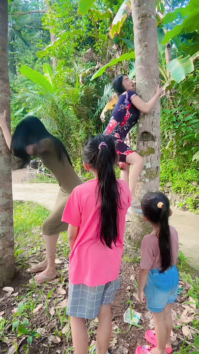 Joget terserah