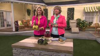 Choice of Portley Birdhouse by Evergreen with Carolyn Gracie