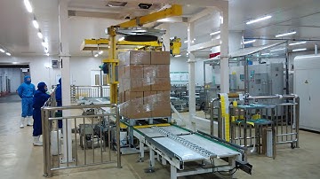 Sinolion Sunner Food stretch wrapping video