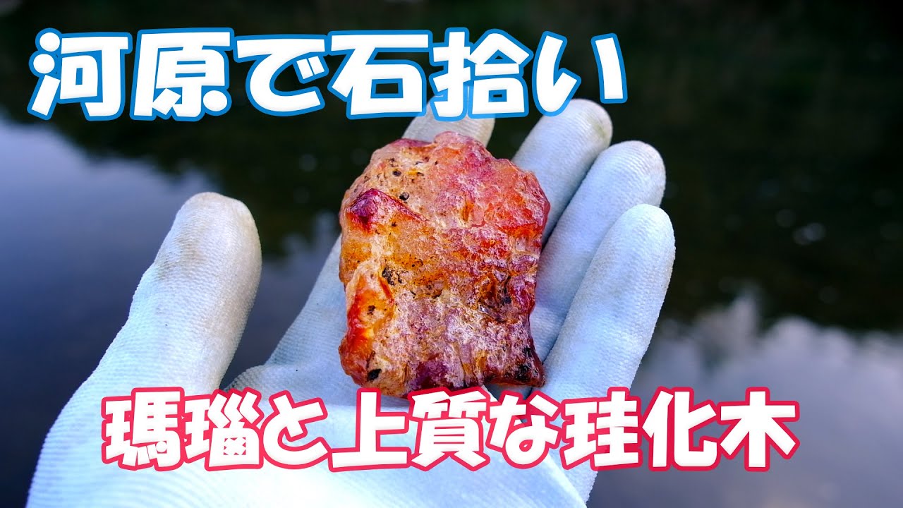 河原で石拾い 瑪瑙と珪化木 Youtube