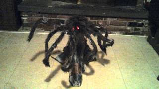 tekky toys jumping spider