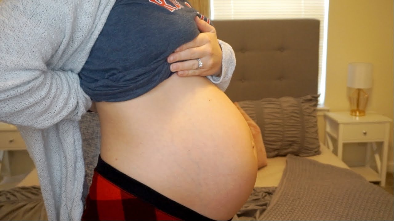 15-20 Week Twin Pregnancy Update |  I FELL DOWN | Sarah Pope
