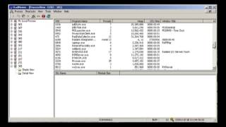 ProcessView