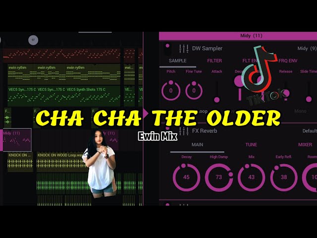 CHA CHA THE OLDER!!(Ewin Mix)Remix 2023 class=