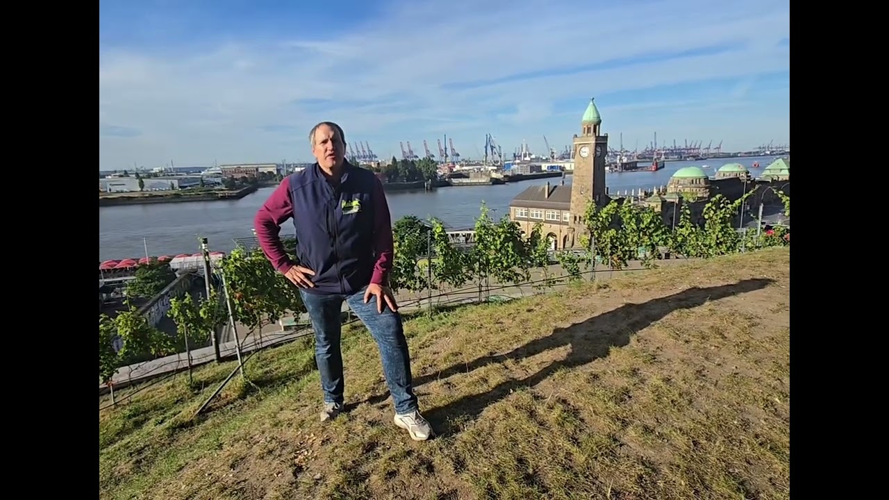 WEINBERG AUF DEM STINTFANG an den Landungsbrücken Hamburg. HOTSPOT GEHEIMTIPP