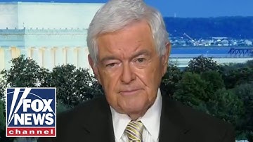 Newt Gingrich: Democrats 