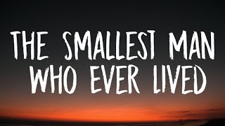 Taylor Swift - The Smallest Man Who Ever Lived (Lyrics) Resimi