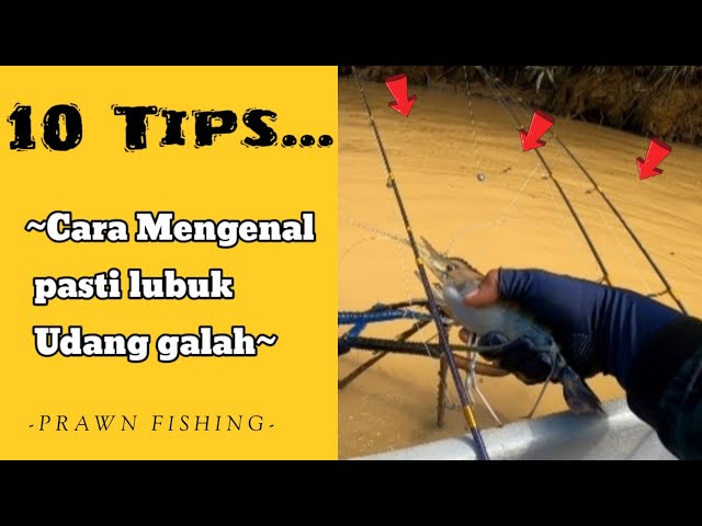 10 TIPS cara megenal pasti lubuk udang galah || Fishing in the river class=