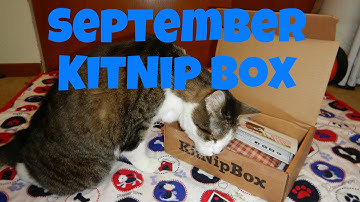 September 2014 KitNip Box