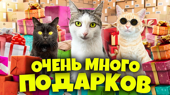 Подарки от подписчиков для наших домашних животных / SANI vlog